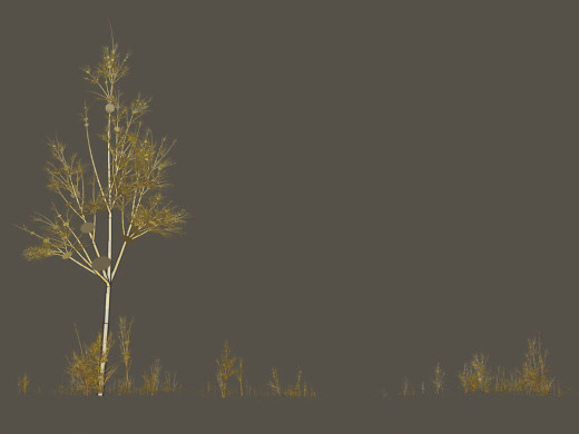 415562 (a): :1024x768